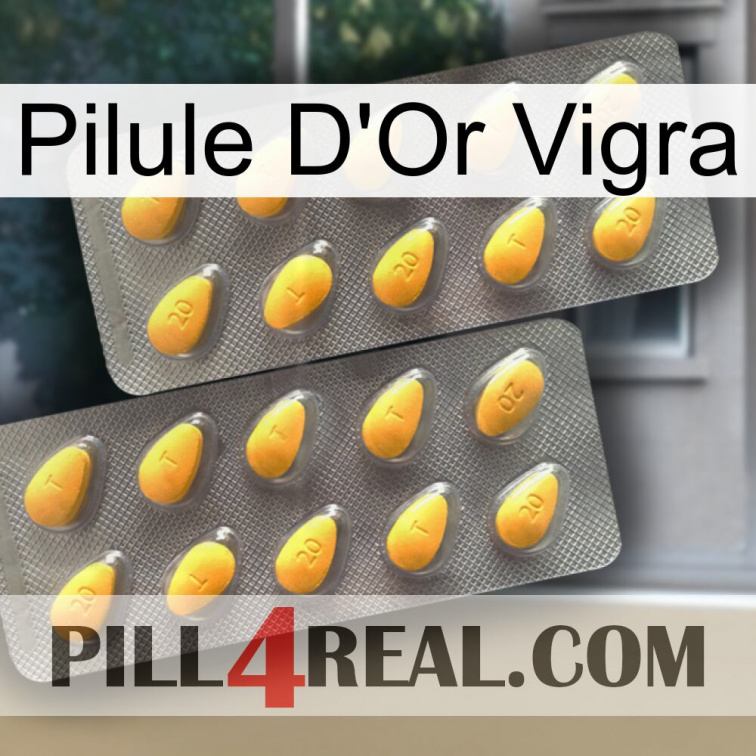 Vigra Gold Pill cialis2